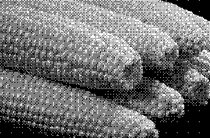 Dithered image of sweetcorn cobs